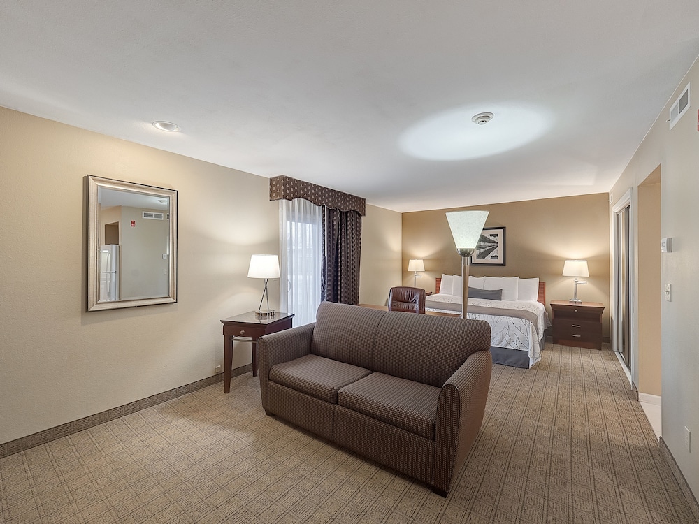 Studio Suite, 1 King Bed With Sofa Bed