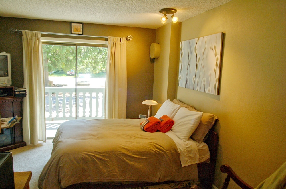 Apartment, Multiple Bedrooms, Fireplace photo 1