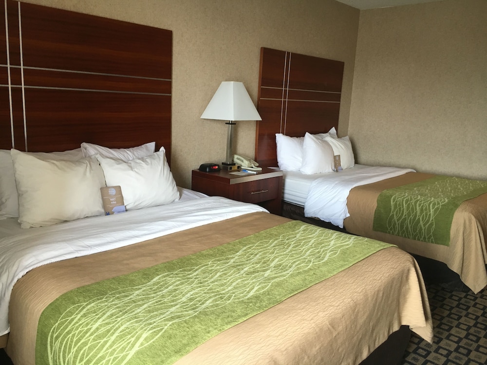 Standard Room, 2 Queen Beds photo 2