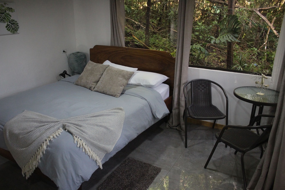 Comfort Studio, Garden View