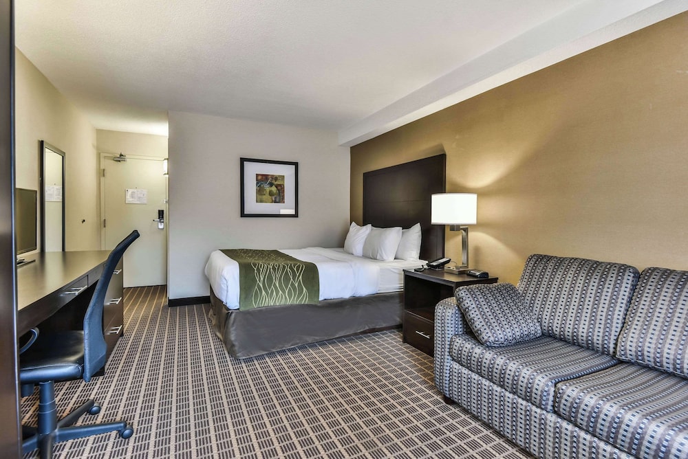 Comfort Care, Standard Room, 1 Queen Bed with Sofa bed - Photo 1