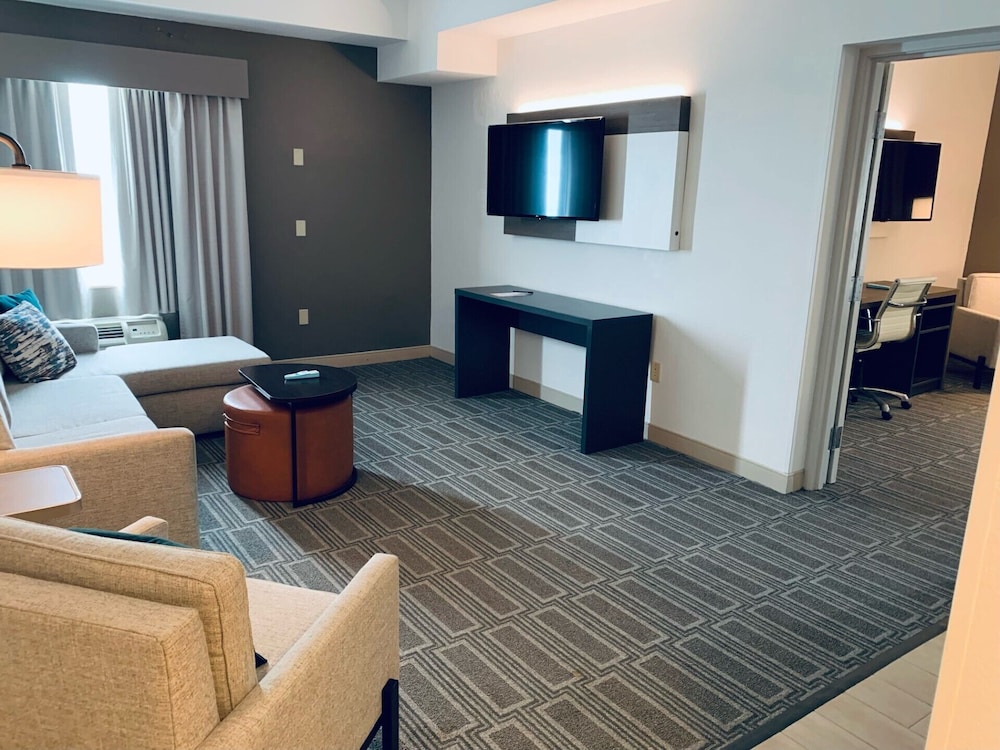 Suite, 1 King Bed with Sofa bed, Non Smoking (Efficiency) - Photo 1