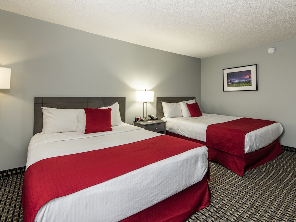 Deluxe Double Room, 2 Queen Beds photo 2