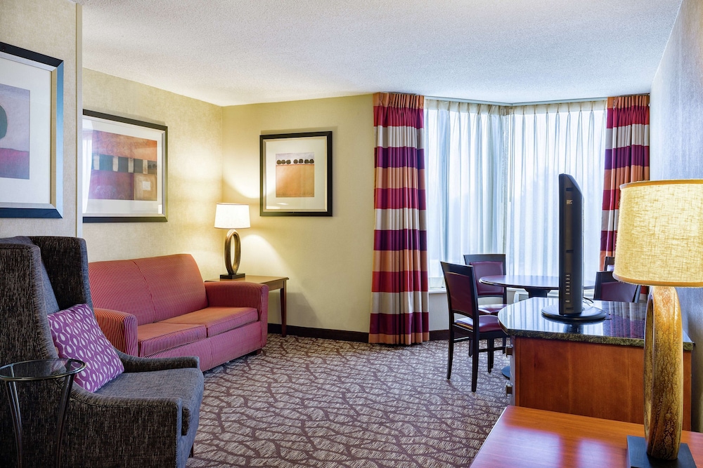 Suite, 1 Bedroom photo 3
