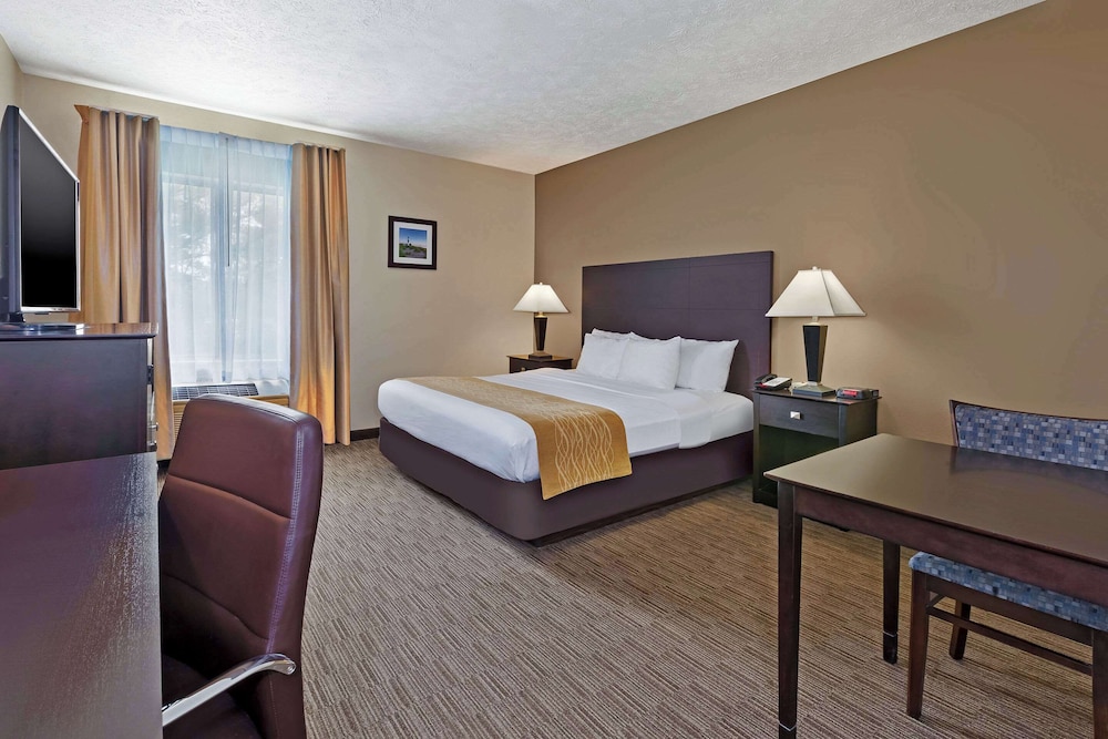 Room, 1 King Bed, Accessible, Non Smoking photo 2