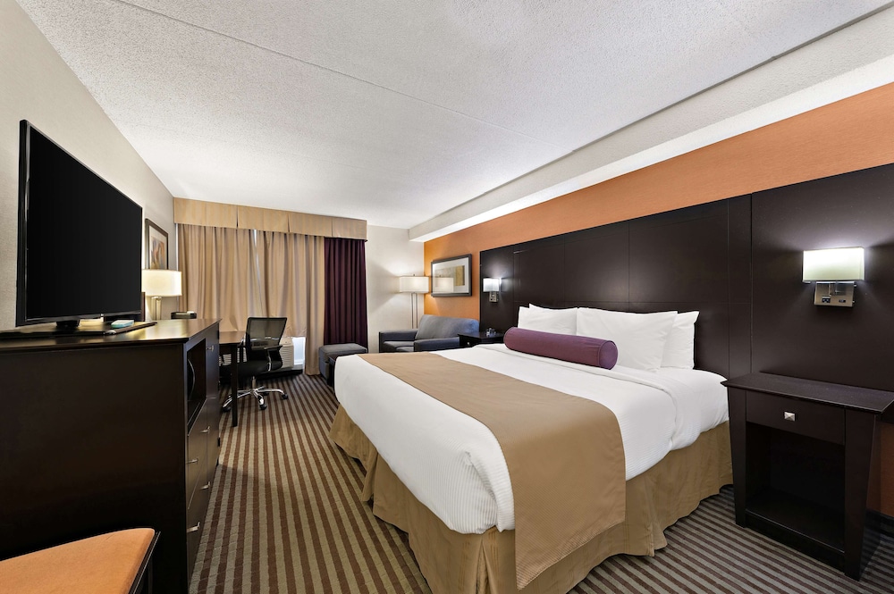 Standard Room, 1 King Bed, Non Smoking, Refrigerator & Microwave (with Single Sofabed)
