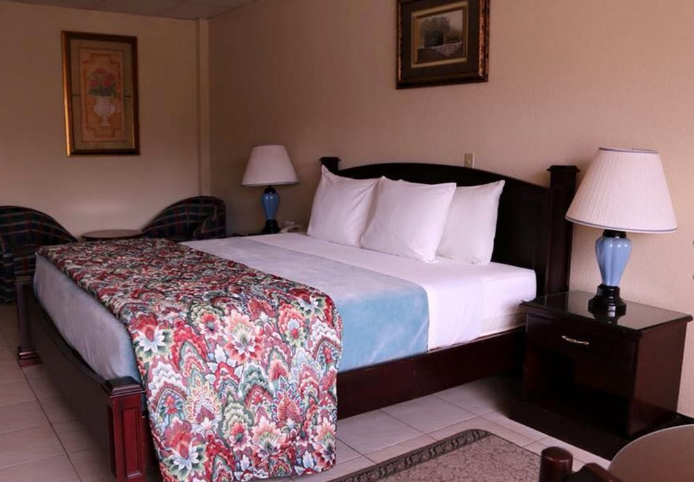 Single Room photo 1