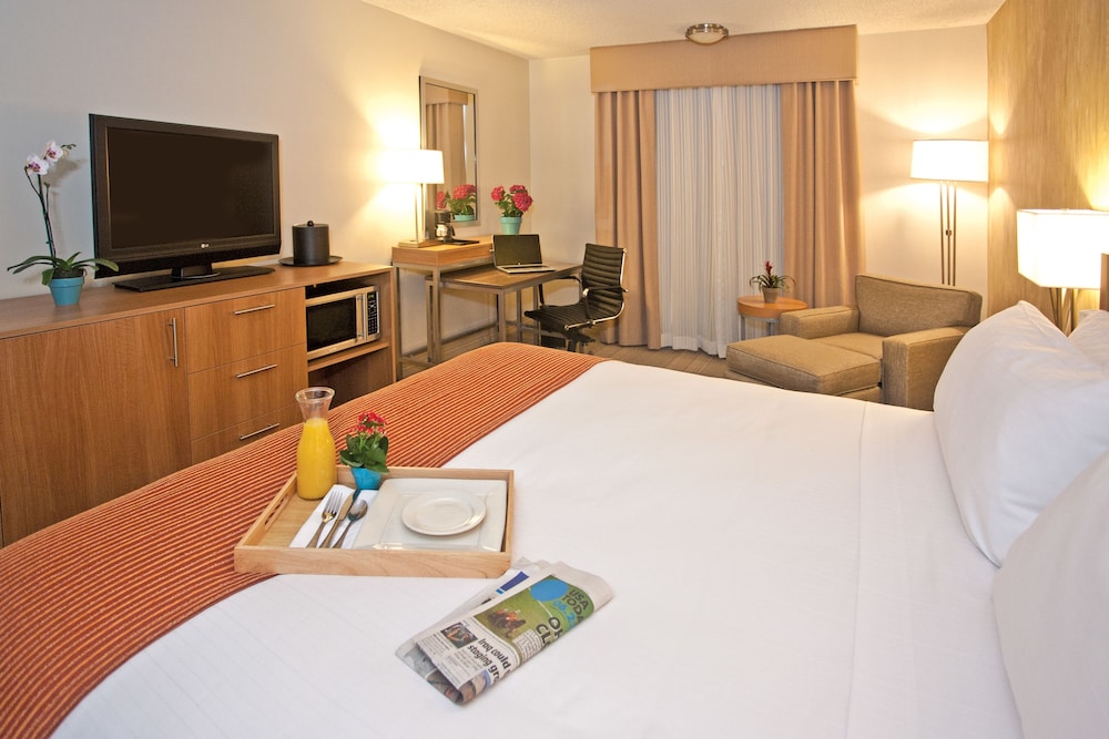 Standard Room, 1 King Bed, Accessible (Comm, Accessible Tub) - Photo 3