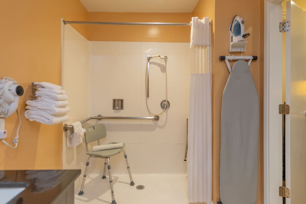 Room, 1 Queen Bed, Mobility Accessible - Photo 5