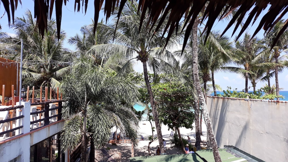 Basic Double Room, Beach View photo 3