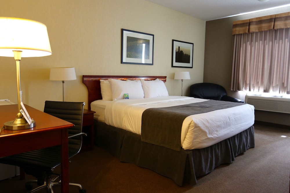 Executive Suite photo 1
