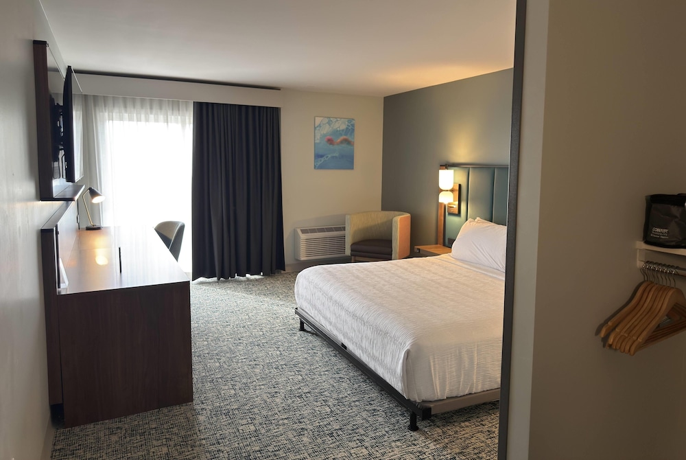 Room, 1 King Bed, Mobility Accessible, Non Smoking (Bathtub W/grab Bars)