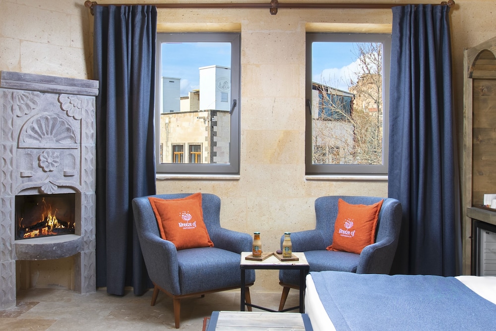 Panoramic Suite, Fireplace photo 3