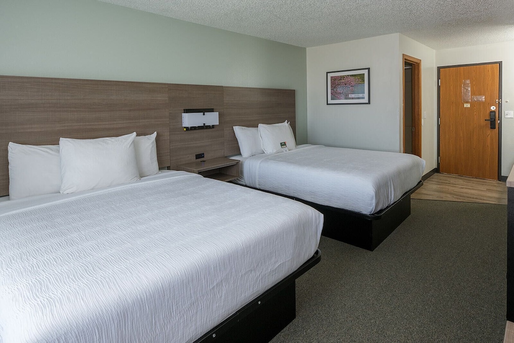 Standard Room, 2 Queen Beds, Pets Allowed, Ground Floor photo 1