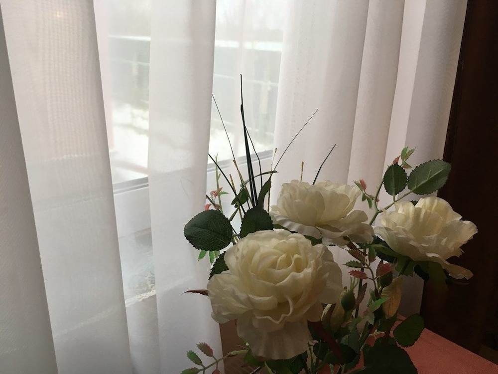 Double or Twin Room photo 2