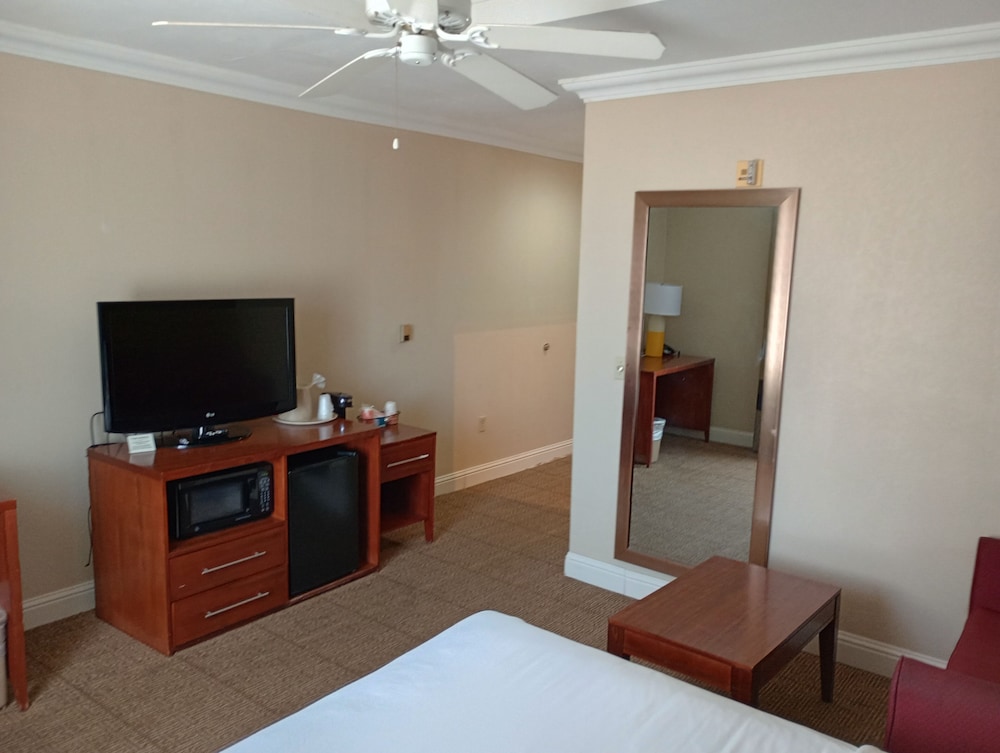 Basic Room, Accessible - Photo 3