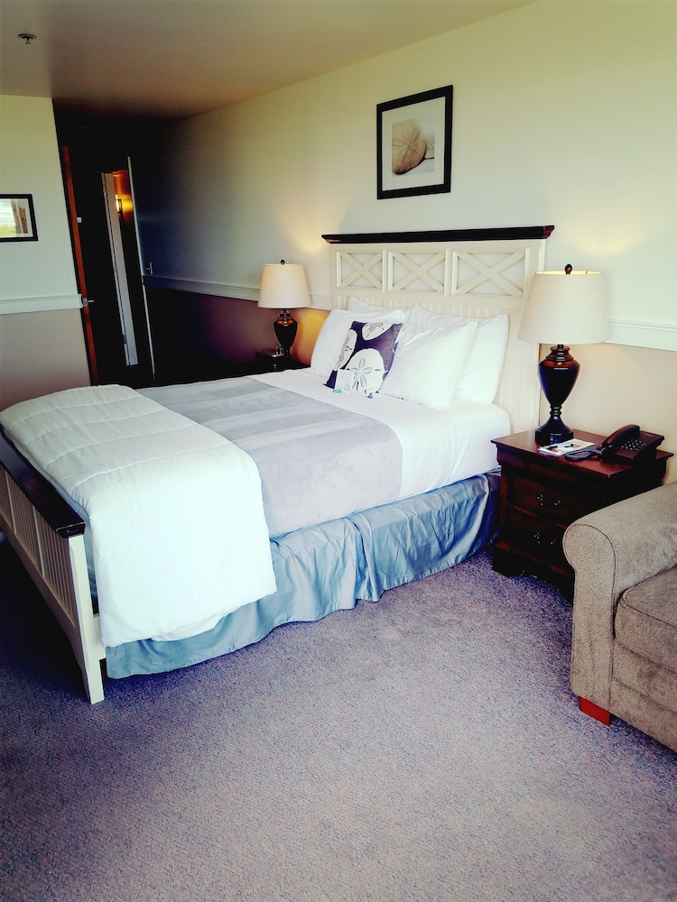 Oceanfront Room - Pet Friendly photo 3