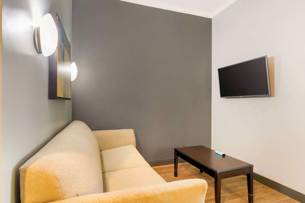 Standard Room, 1 King Bed, Non Smoking, Refrigerator & Microwave (with Sofabed) - Photo 3