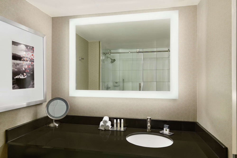 DoubleTree by Hilton Hotel Detroit Novi, Billede 3