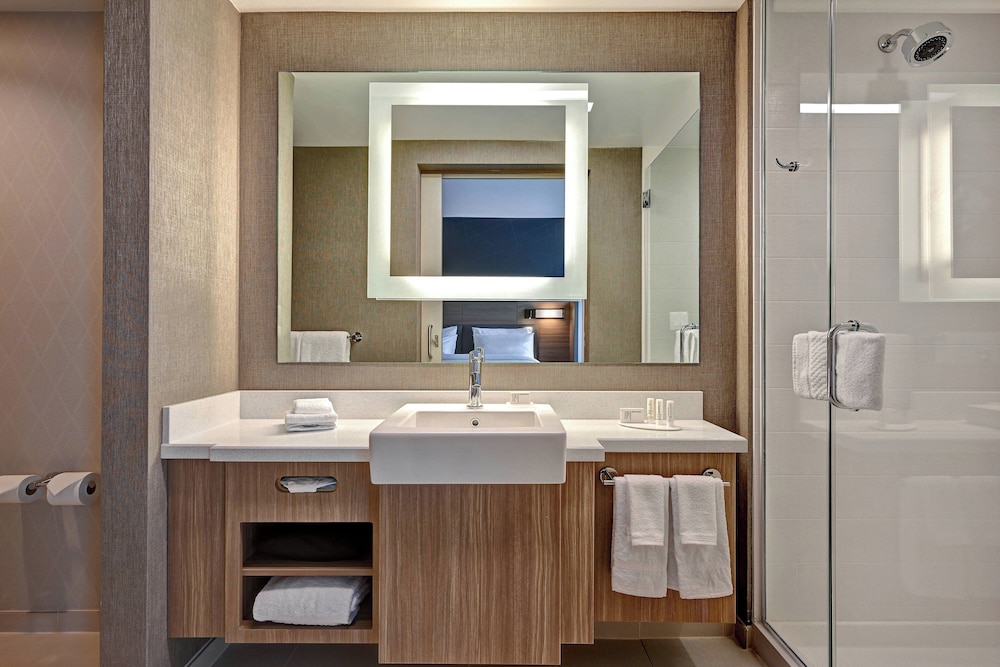 Suite, 1 King Bed - Photo 9