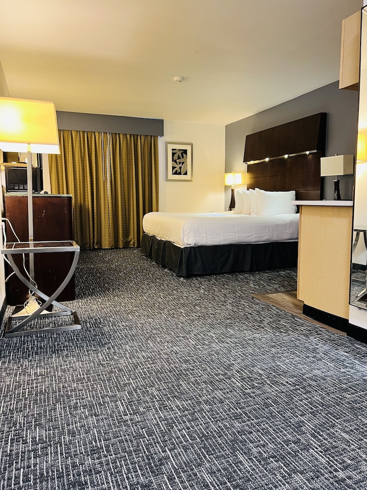 Standard Room, 1 King Bed, Non Smoking - Photo 4