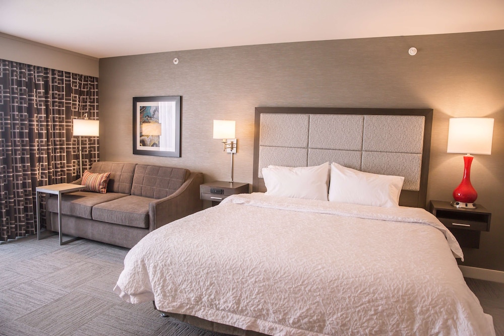 Room, 1 King Bed with Sofa bed, Accessible, Bathtub photo 2