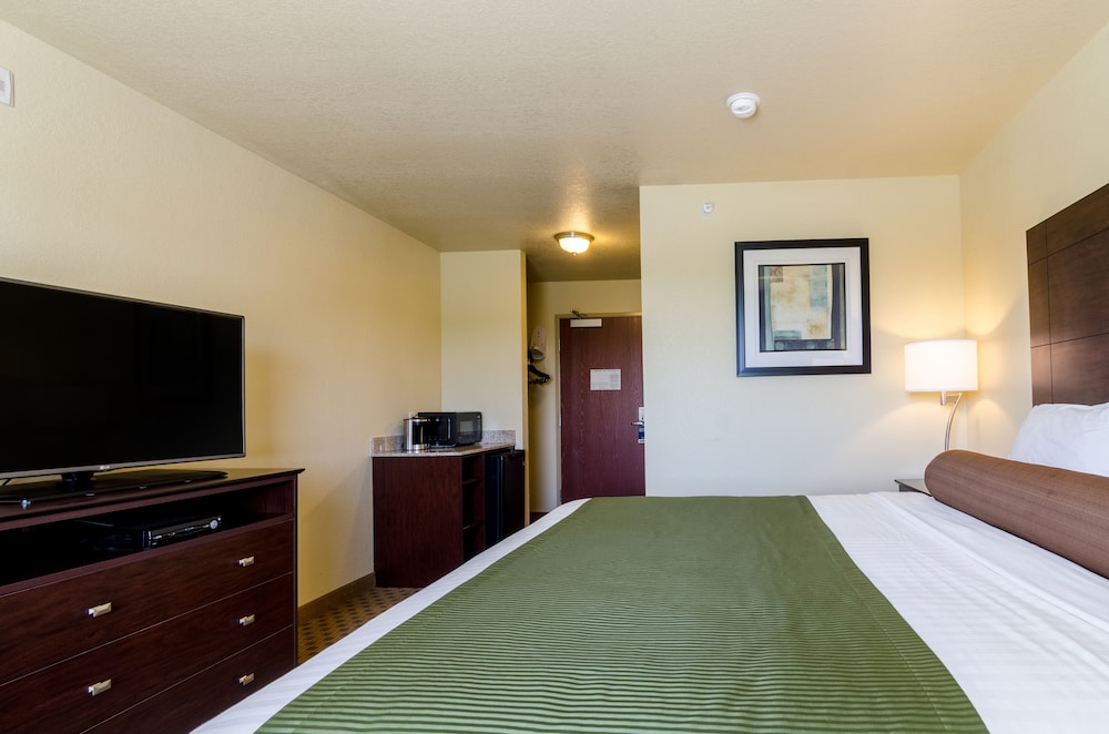 Room, 1 King Bed, Non Smoking