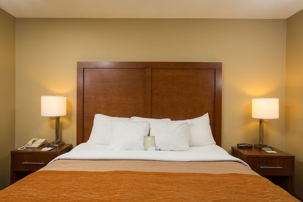 Suite, 1 King Bed with Sofa bed photo 3