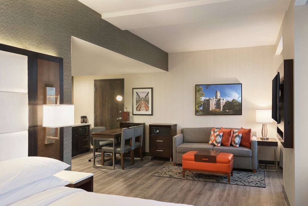 Studio Suite, 1 King Bed, Accessible (Hearing Acc, 1 Room) photo 2