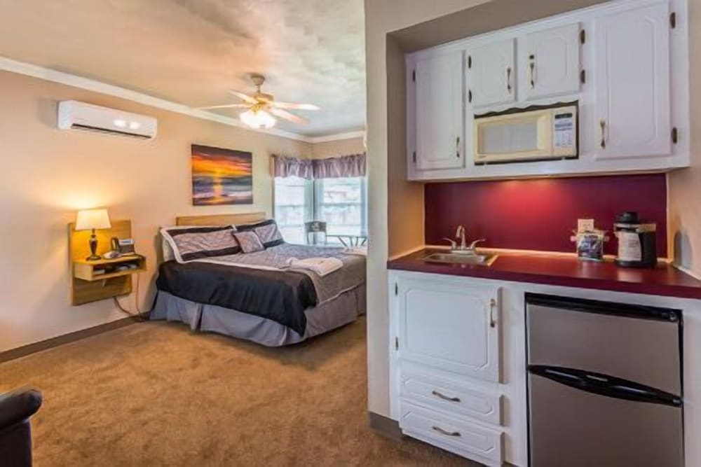 Standard Studio Suite, 1 King Bed photo 1