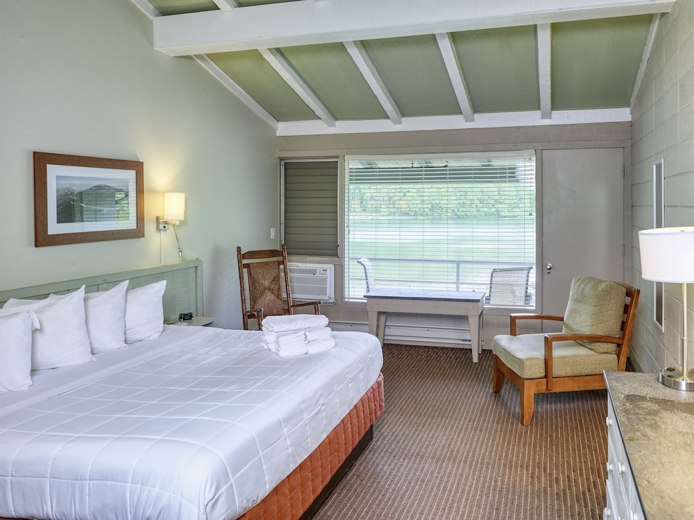 Deluxe Room, 1 King Bed photo 1