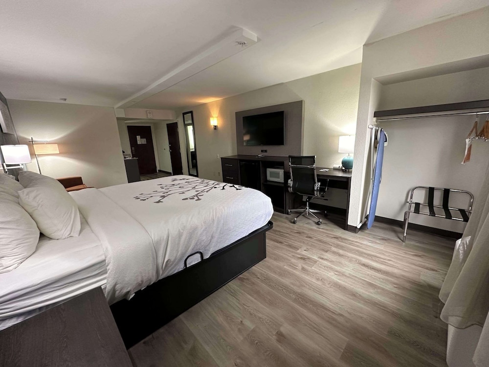 Suite, 1 King Bed, Non Smoking - Photo 7