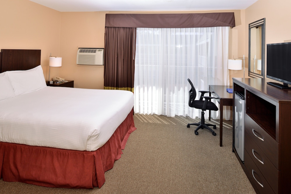Room, 1 King Bed, Accessible - Photo 2