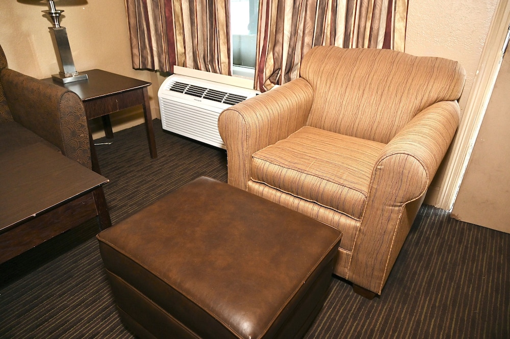 Single Room, 1 King Bed, Non Smoking photo 3