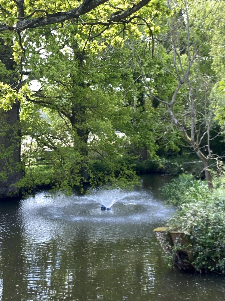 Oastbrook-wijngaard, Foto 24