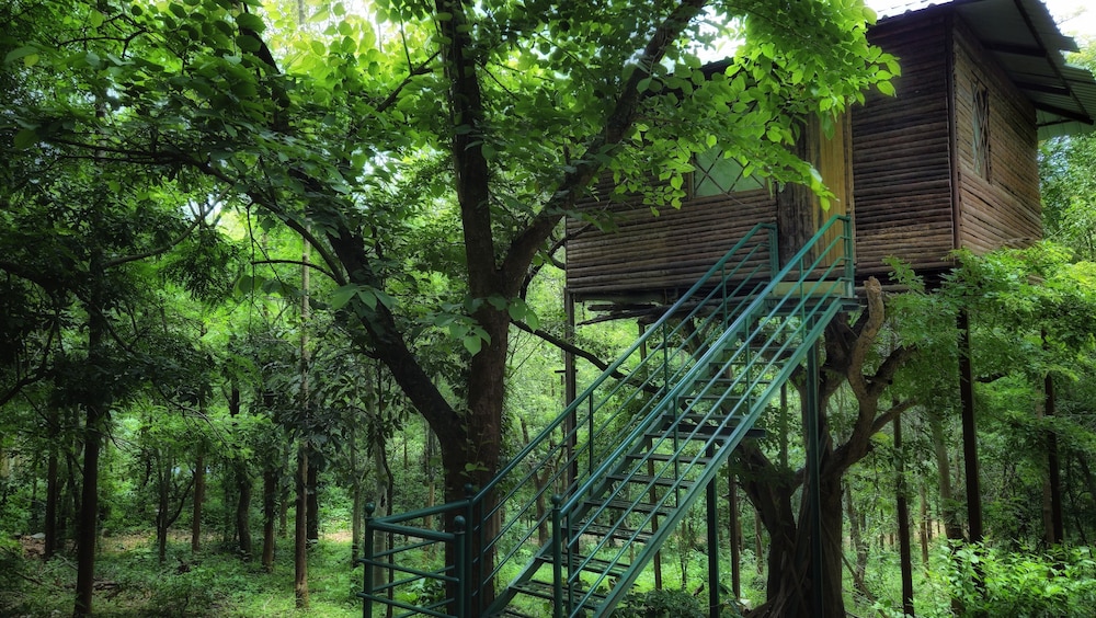 Comfort Tree House photo 2