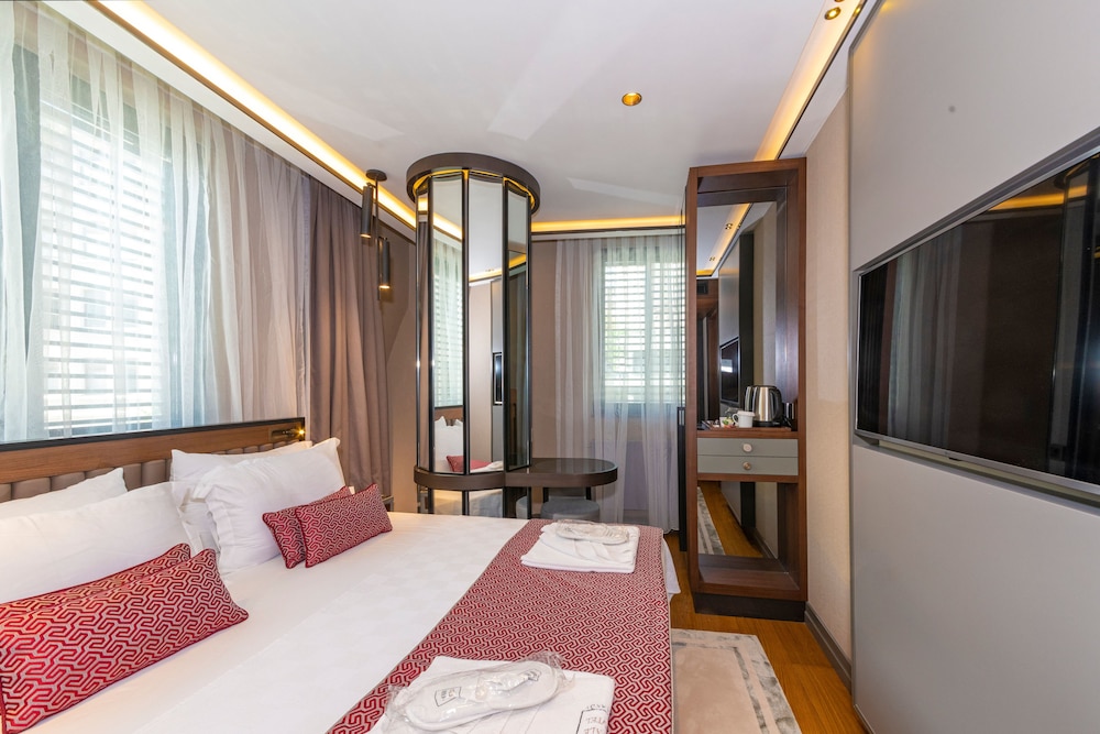 Deluxe Double or Twin Room photo 2