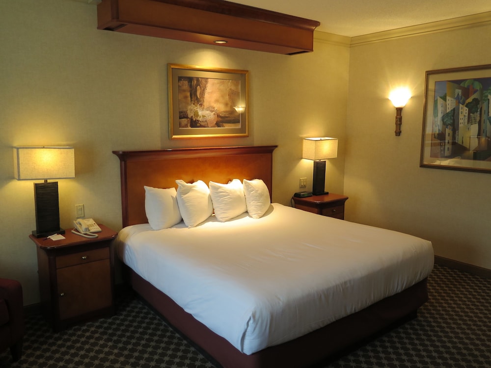 Premium Room, 1 King Bed - Photo 5