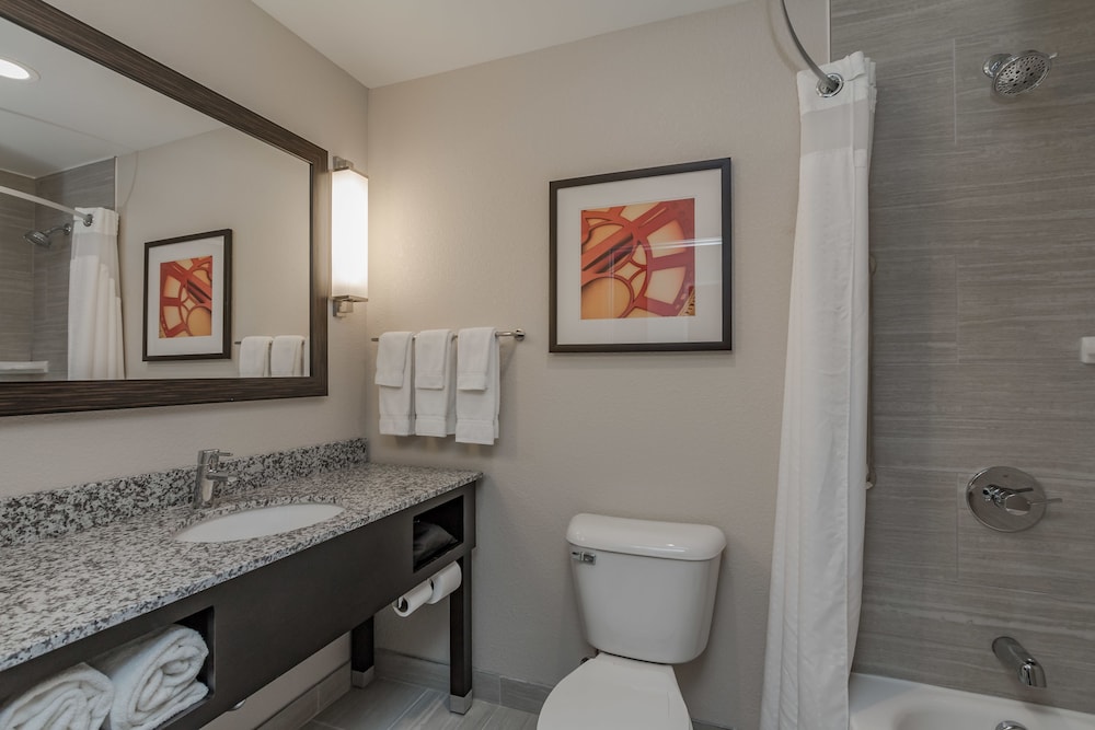 Holiday Inn Mishawaka by IHG, Photo 3