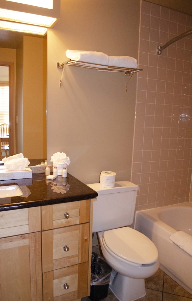 Premium Suite, Kitchen - Photo 6
