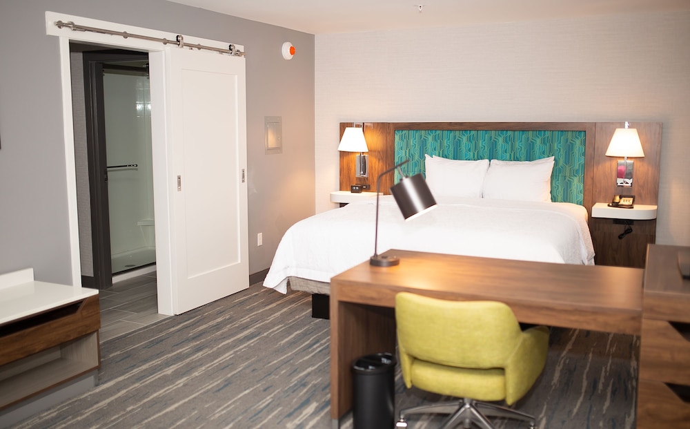 Suite, 1 King Bed, Accessible, Refrigerator & Microwave - Photo 10