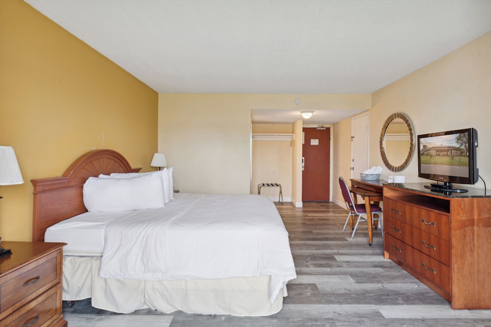 Basic Single Room, 1 King Bed photo 3