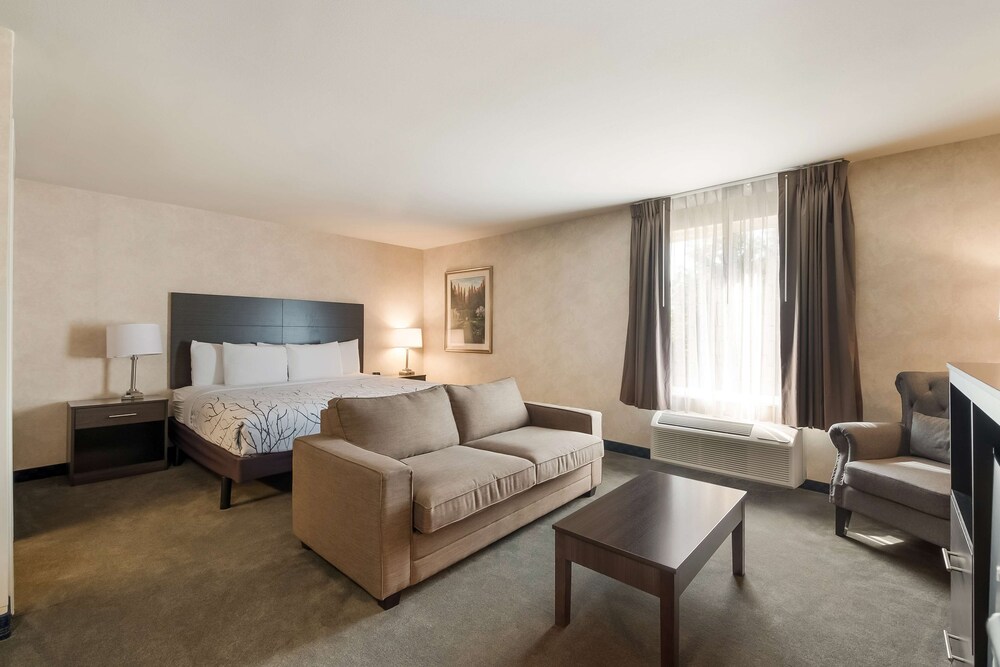 Suite, 1 King Bed, Non Smoking, Refrigerator & Microwave (with Sofabed) - Photo 1