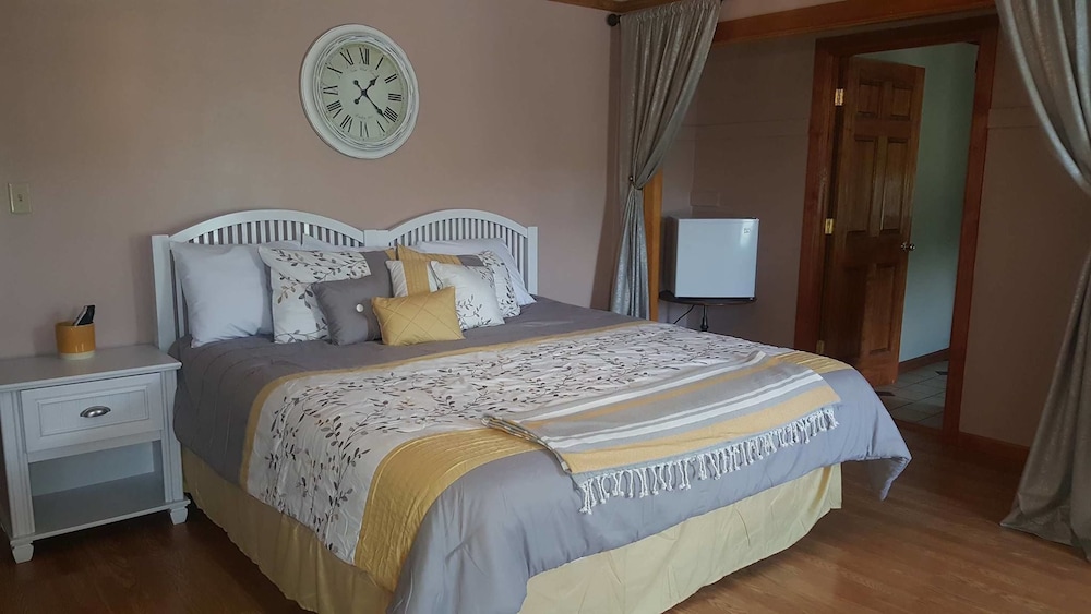Premier Room, 1 King Bed