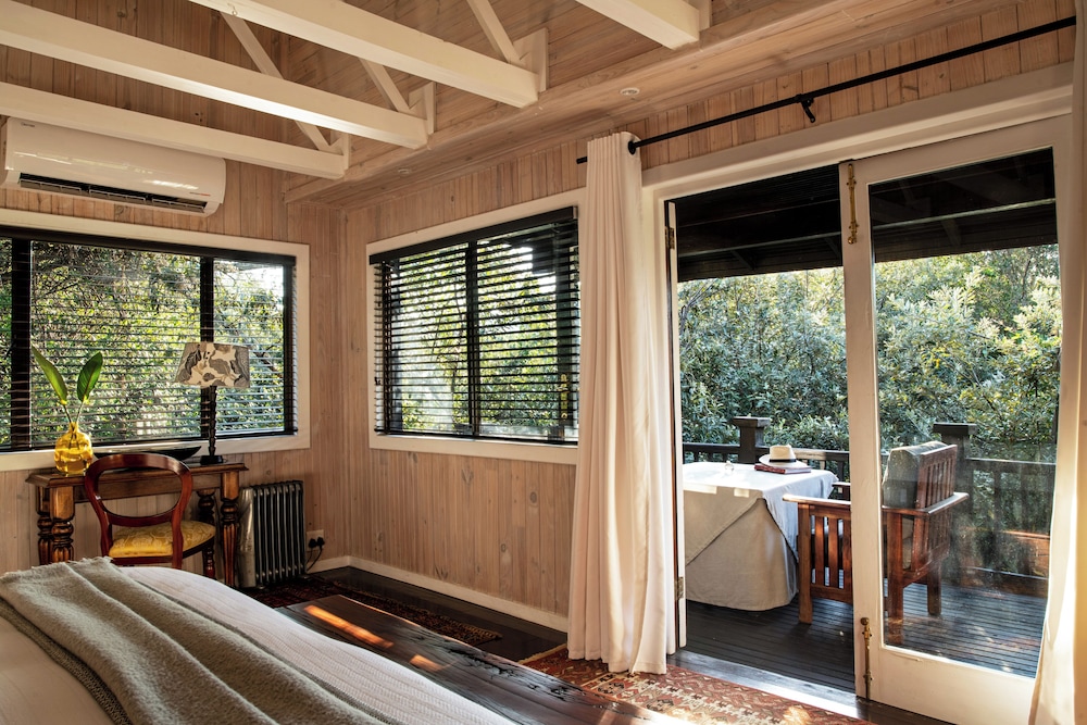 Forest Suite photo 2