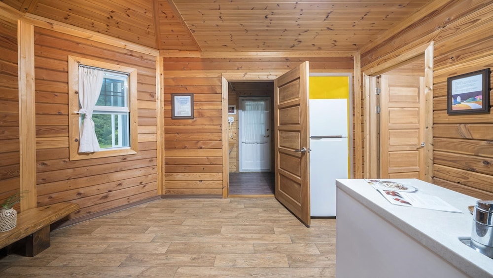 Basic Room, 1 Bedroom (Yellow-1) photo 1