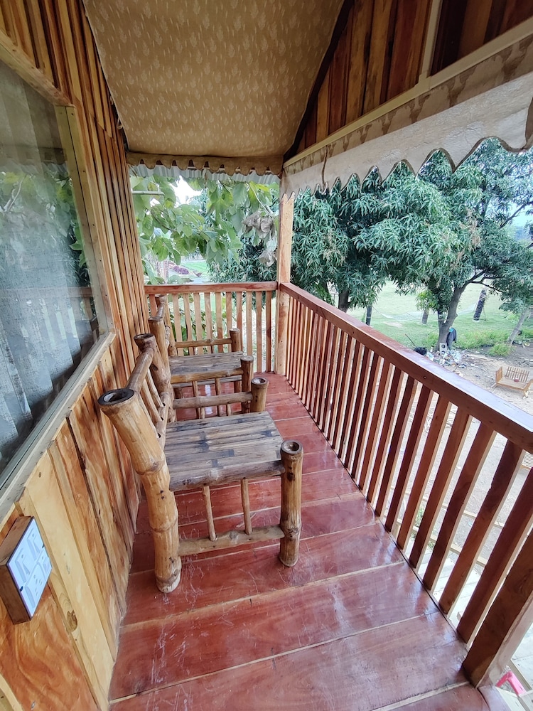 Comfort Tree House photo 2