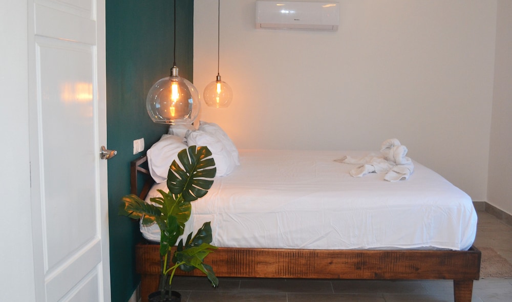 Junior Studio Suite photo 3
