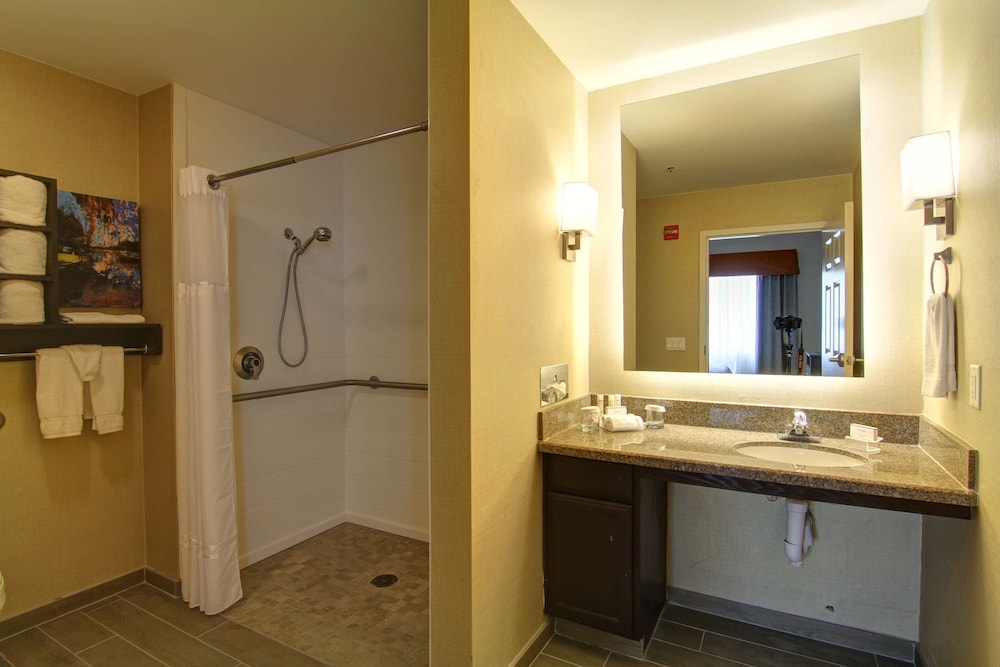 Suite, 1 King Bed, Accessible, Bathtub (Mobility & Hearing) - Photo 9