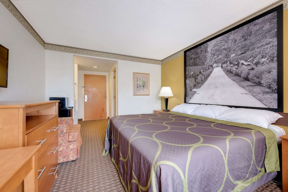Suite, 1 King Bed - Photo 1